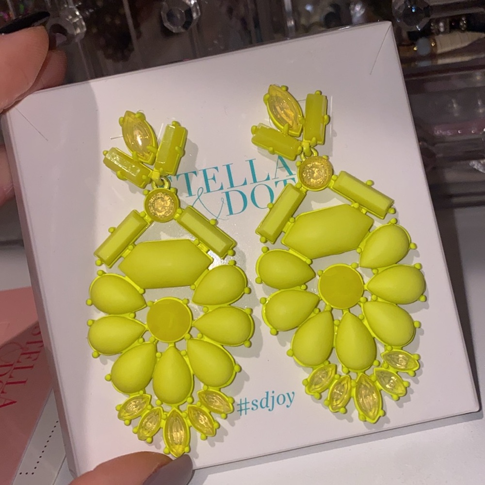 Stella and Dot Earrings